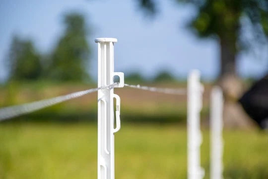 ZoneGuard prikpaal