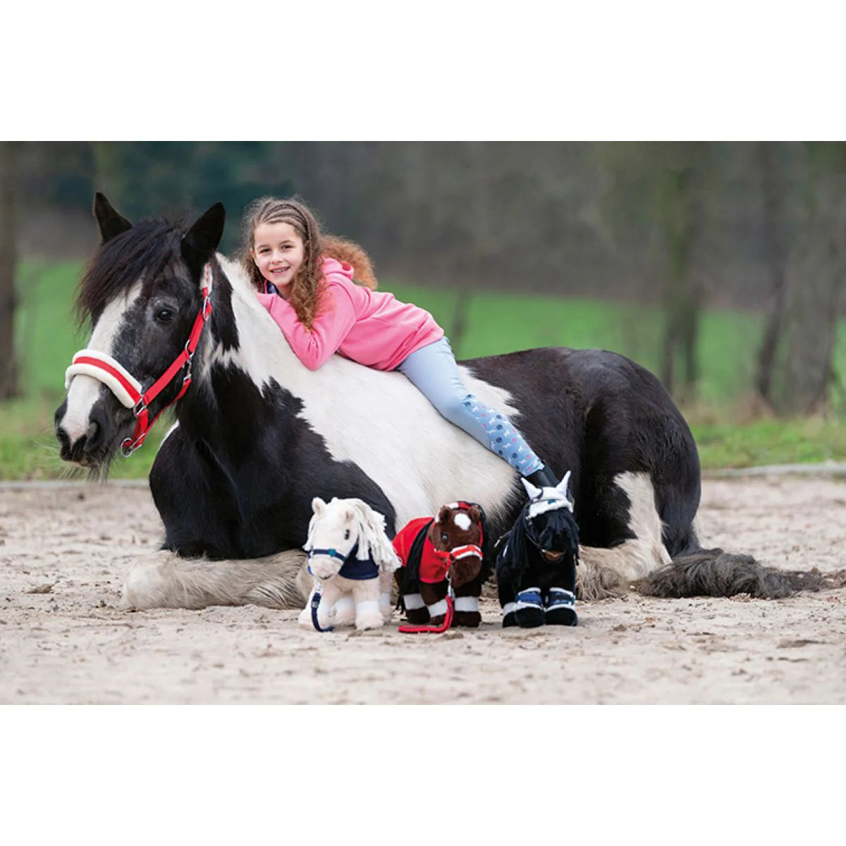 Cuddle ponys