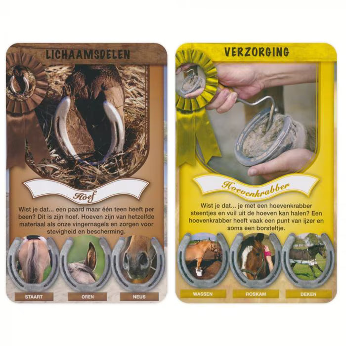 Paarden Weetjes Kwartet