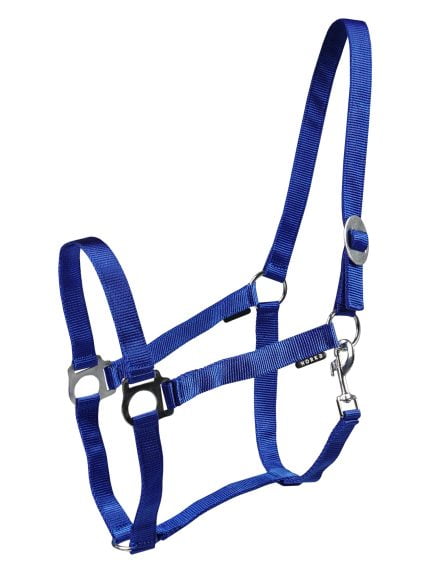 Horka weidehalster Drew royalblue