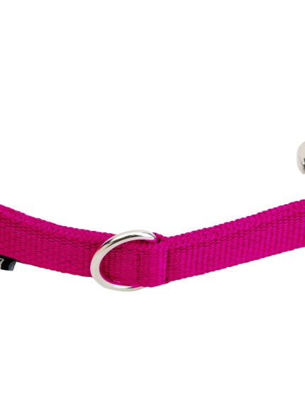 Horka longeerstukje hot pink