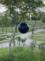 Sticky Trap vliegenbal - Afbeelding 4