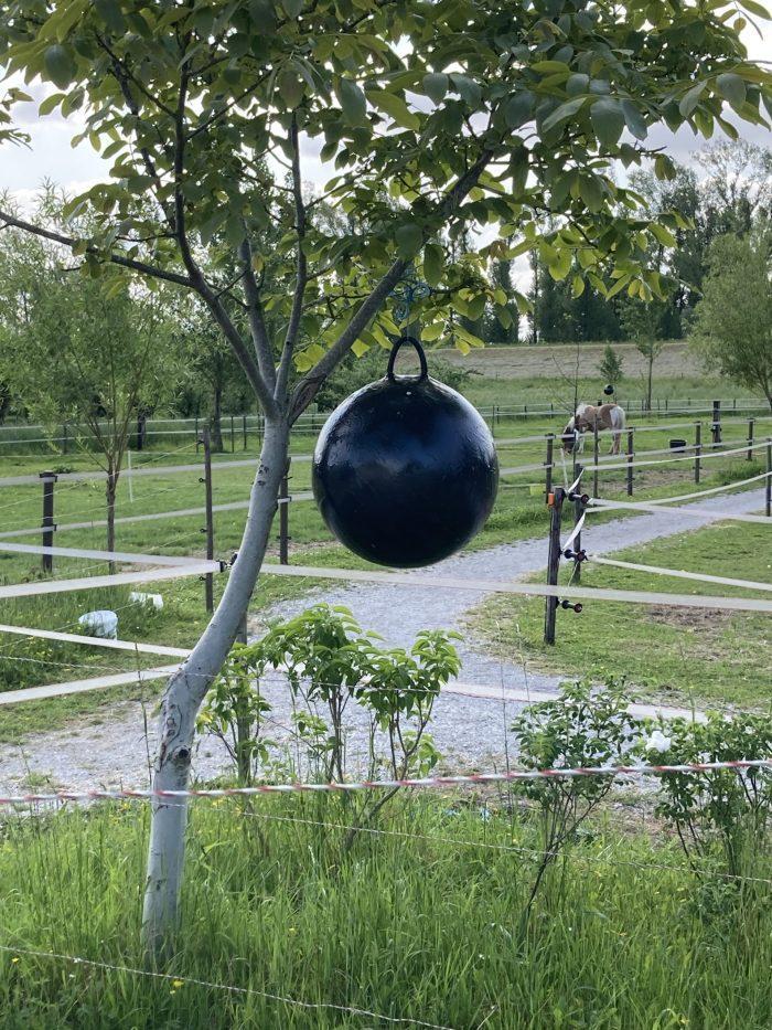 Sticky Trap vliegenbal - Afbeelding 4