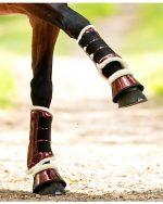 beenbeschermers paard