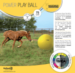 Maximus play ball, voetbal, 75 cm - Afbeelding 2