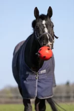 Maximus fun play ball - Afbeelding 6