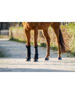 Stalbeschermers / transportbeschermers showtime - Afbeelding 3