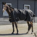 Horka winterdeken Dime 200 grams - Afbeelding 6