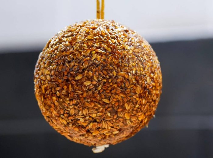 Likit Granola, Appel, Pepermunt, Melasse en Bessen 1,6 kg - Afbeelding 2