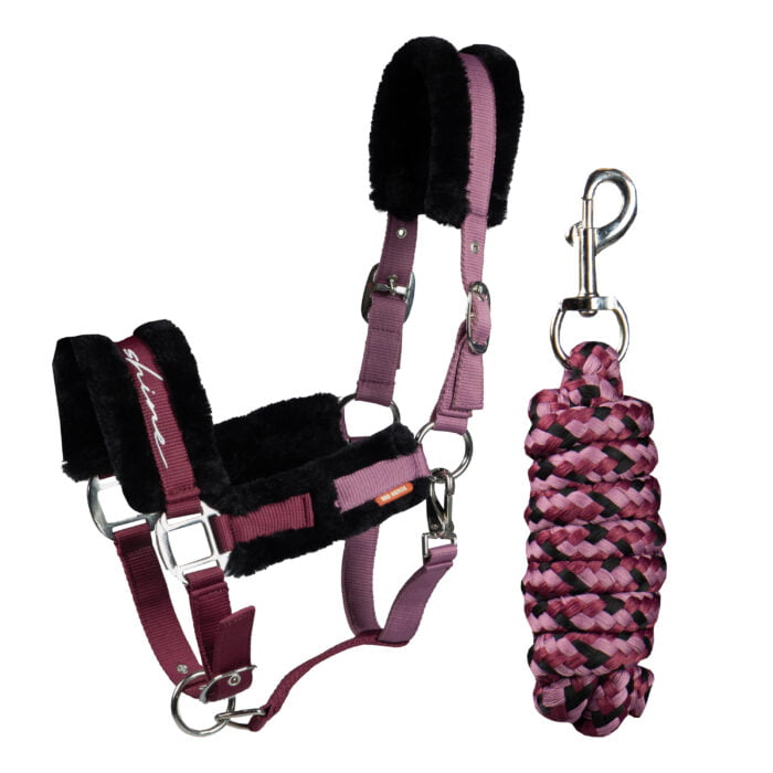 rh halsterset ride en shine rh halsterset ride en shine
