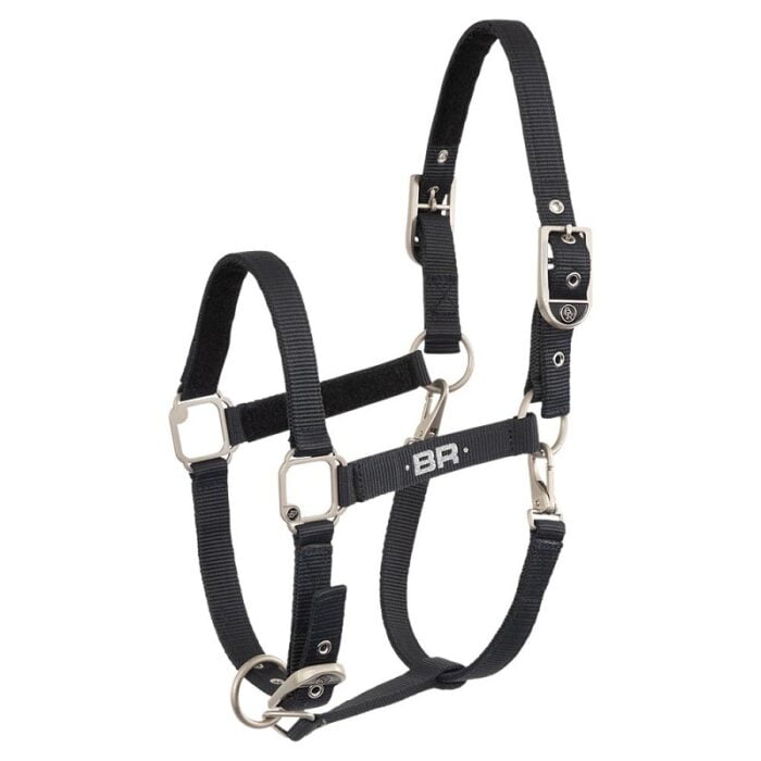 BR halster zamora blueberry