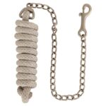 BR lijn met ketting ( hengstenketting)