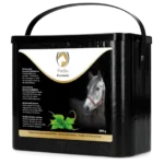 Excellent herbs brandnetel