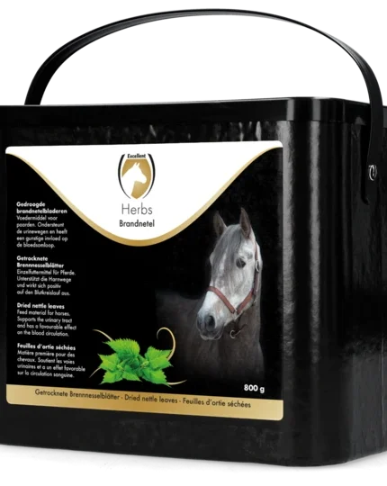 Excellent herbs brandnetel