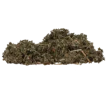 Excellent Herbs Framboos - Afbeelding 2