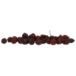 Excellent Herbs Rozenbottel - Afbeelding 2