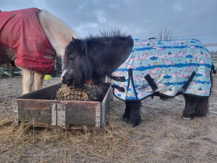 HB Outdoor Unicorn Triple regendeken