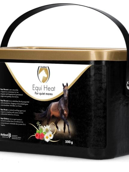 excellent equi heat