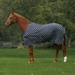 Horka vliegendeken met print