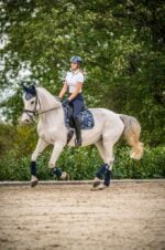 HKM Bloomsbury zadeldek dressuur - Afbeelding 3