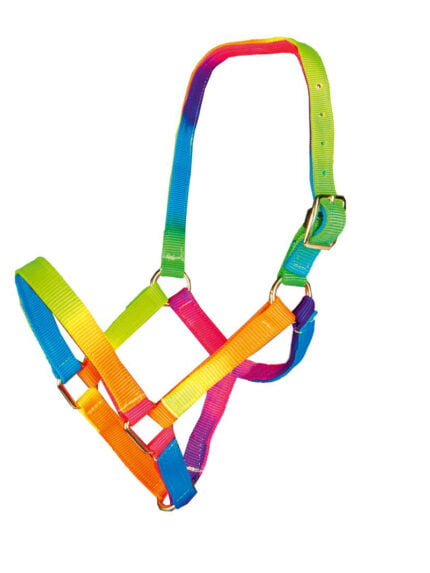 HKM regenboog halster Shetland