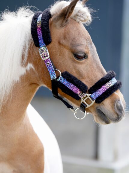 HB halster little pony