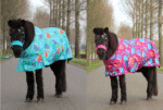 HB regendeken pony gevoerd
