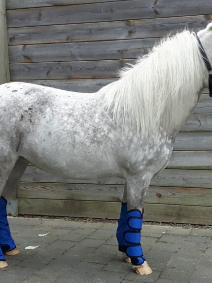 HB transportbeschermers little