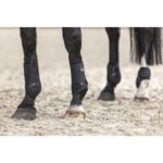 HKM Peesbeschermers Cooling Style