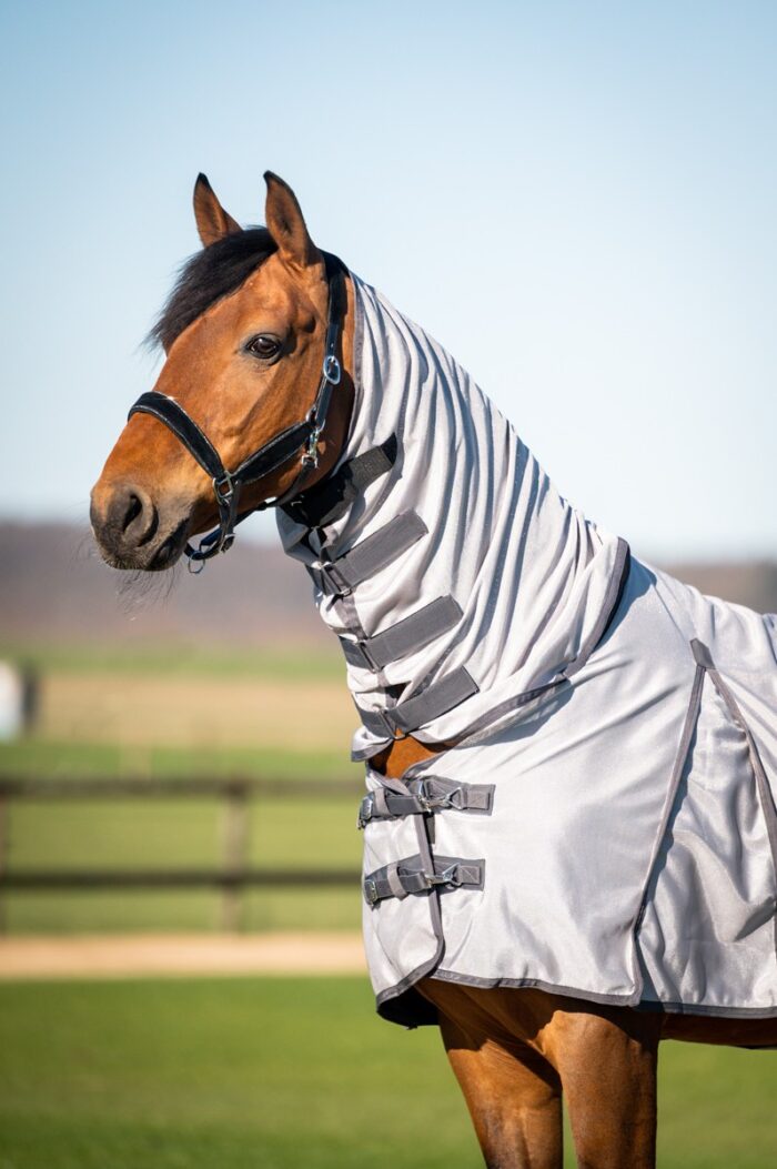 HB Vliegendeken met hals