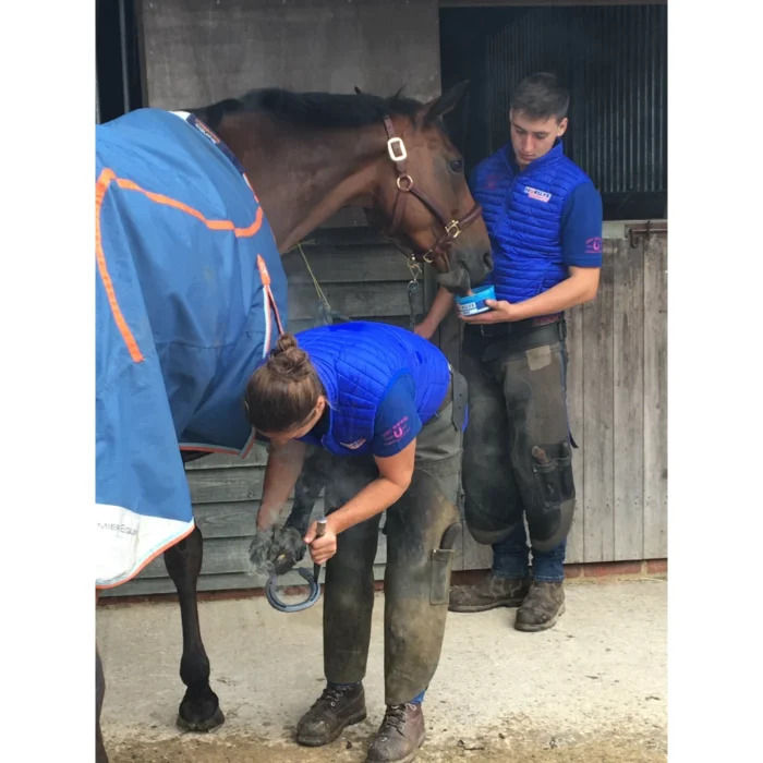 Horslyx 650 gram diverse smaken - Afbeelding 7