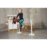 Hobby Horse stokpaard hindernis