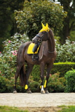 BR event setjes paard