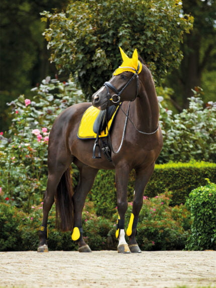 BR event setjes paard