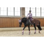 HKM uitrijdeken Arctic Bay