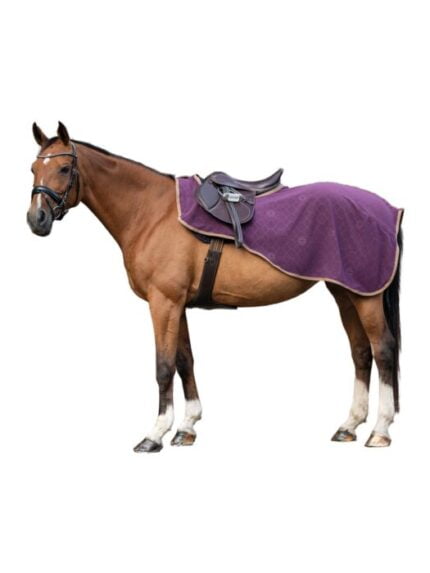 HKM uitrijdeken Arctic Bay