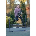 HKM springset Hobby Horse