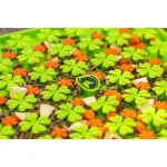 Excellent Horse Snuffle Mat