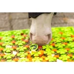 Excellent Horse Snuffle Mat
