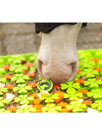 Excellent Horse Snuffle Mat