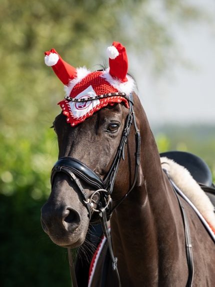 HB oornetje Xmas