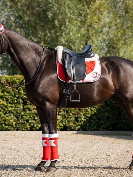 HB zadeldek xmas dressuur