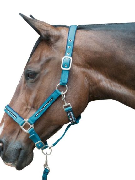 HKM halsterset petrol en blauw met steentjes