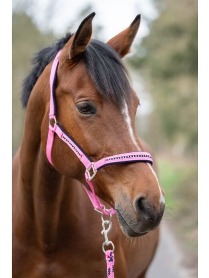 HKM halsterset roze en blauw met steentjes
