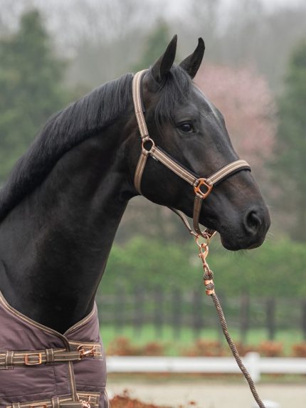 Horka halsterset Deluxe coffee