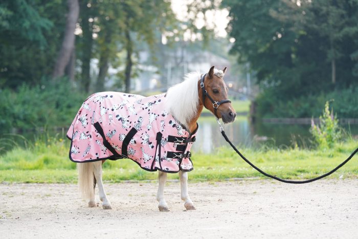 HB outdoor Mr Squeez 200 grams HB outdoor Mr Squeez 200 grams