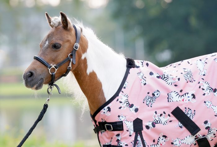 HB outdoor Mr Squeez 200 grams HB outdoor Mr Squeez 200 grams