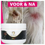 Excellent Horse Mud Fever