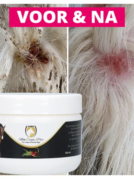 Excellent Horse Mud Fever