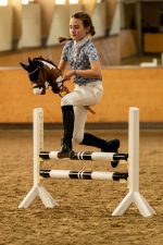 HKM Hobby Horse bruin wit